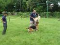 20130818jw_dog_training_P1140265