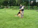 20130818jw_dog_training_P1140266