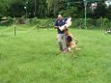 20130818jw_dog_training_P1140267