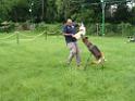 20130818jw_dog_training_P1140268