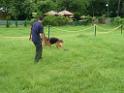 20130818jw_dog_training_P1140269