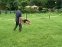 20130818jw_dog_training_P1140270