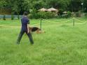 20130818jw_dog_training_P1140271