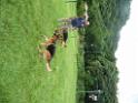 20130818jw_dog_training_P1140273