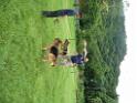 20130818jw_dog_training_P1140275