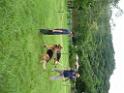 20130818jw_dog_training_P1140276