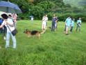 20130818jw_dog_training_P1140326