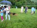 20130818jw_dog_training_P1140327