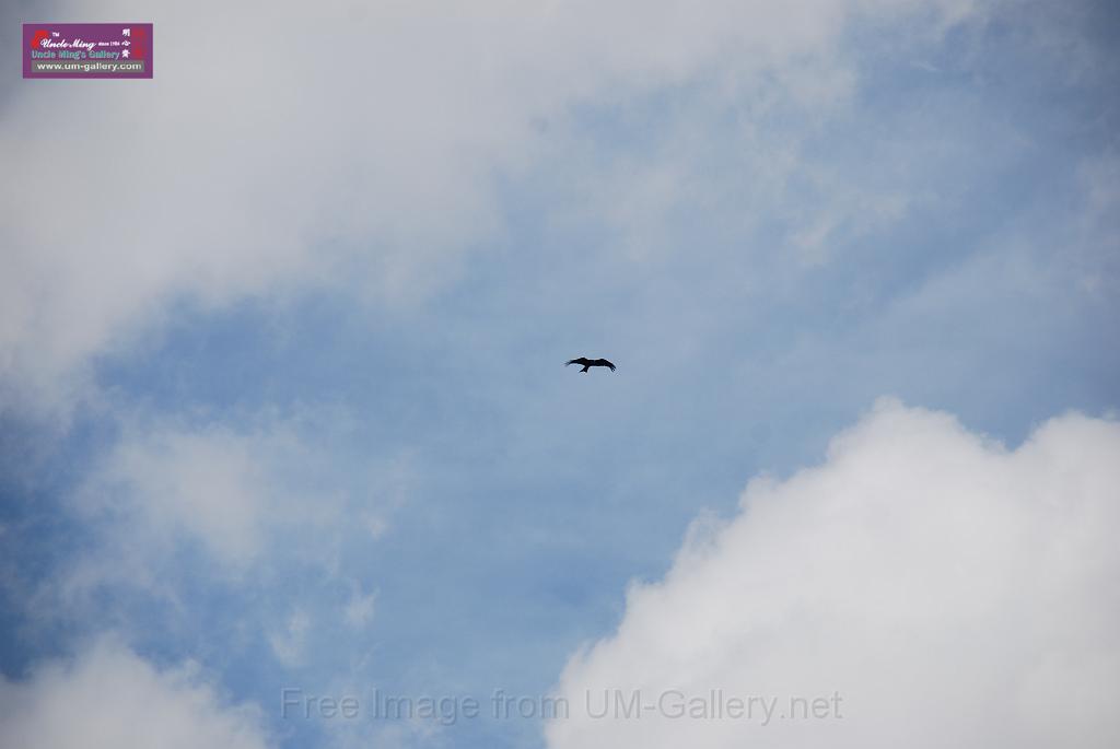 20130701jw-pla-military-base-openday_DSC_8479.JPG