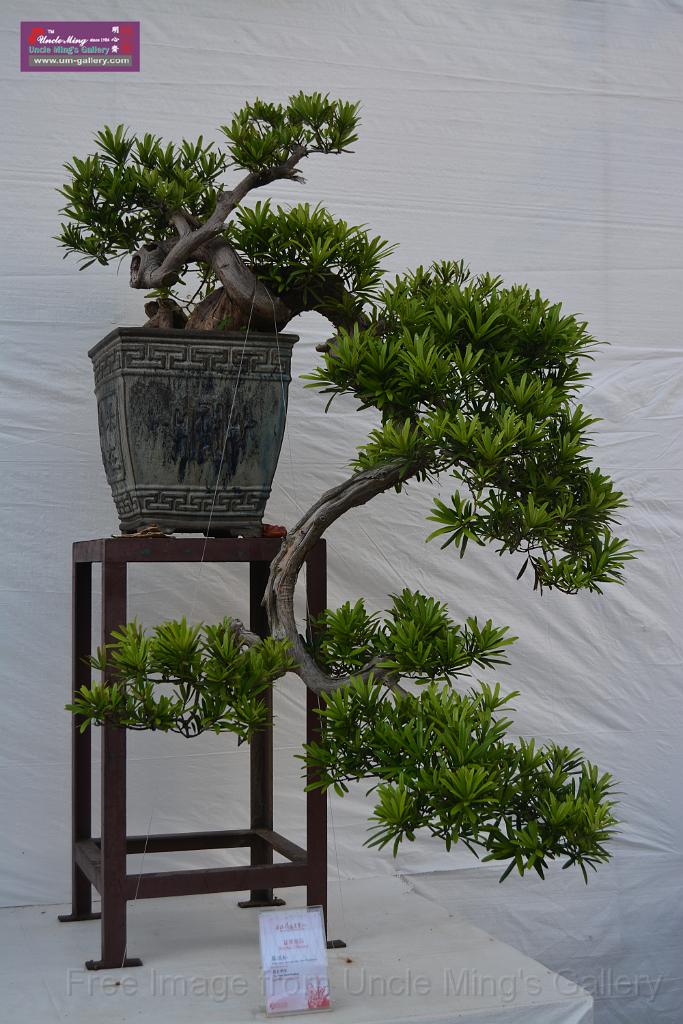 20150328sm-floral-exhibition_DSC_1839.JPG