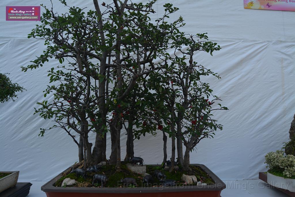 20150328sm-floral-exhibition_DSC_1856.JPG