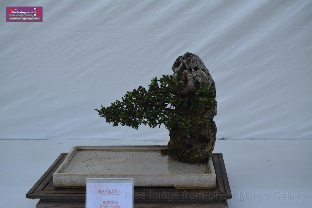 20150328sm-floral-exhibition_DSC_1907.JPG