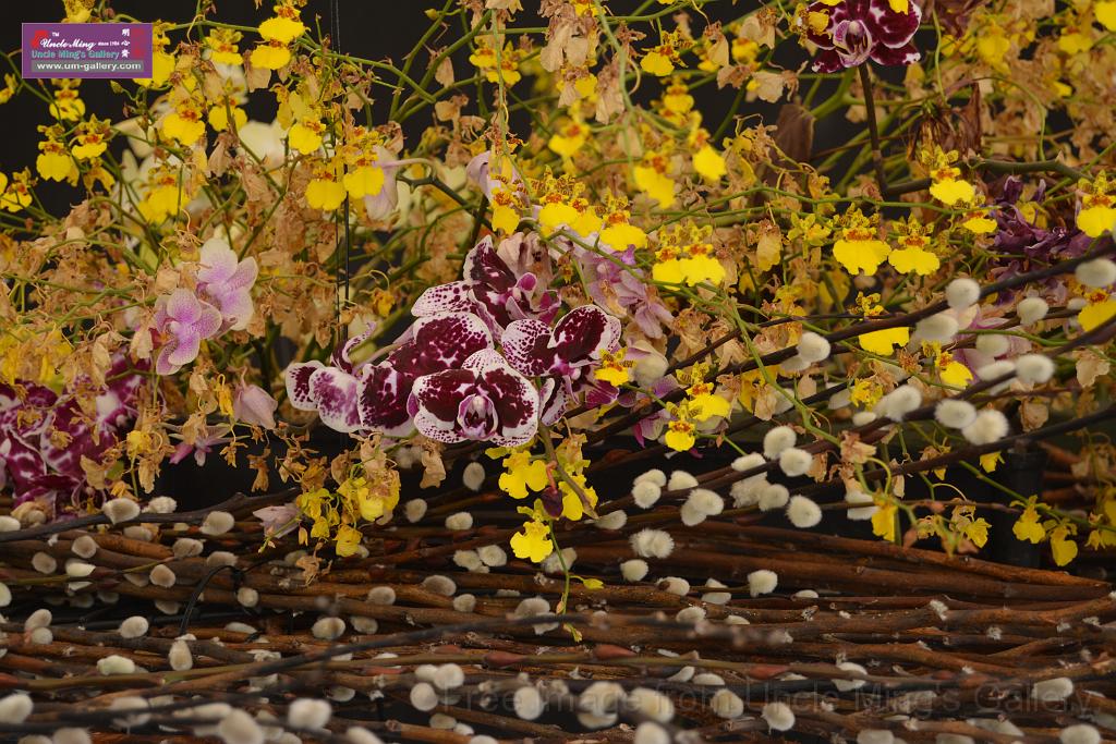 20150328sm-floral-exhibition_DSC_1773.JPG