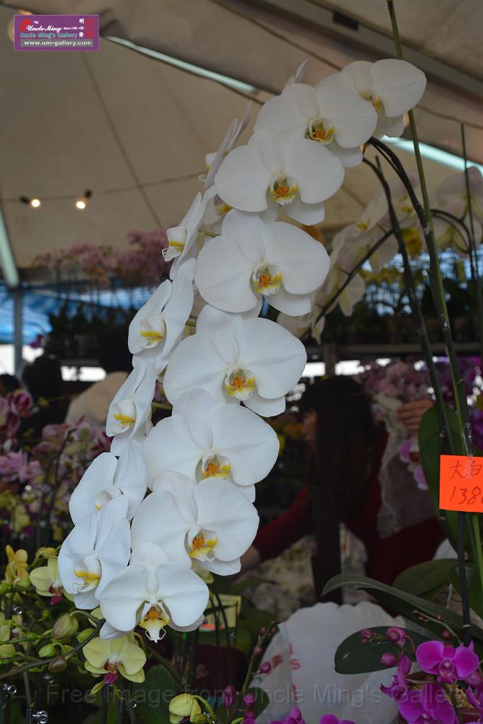 20150328sm-floral-exhibition_DSC_1803.JPG