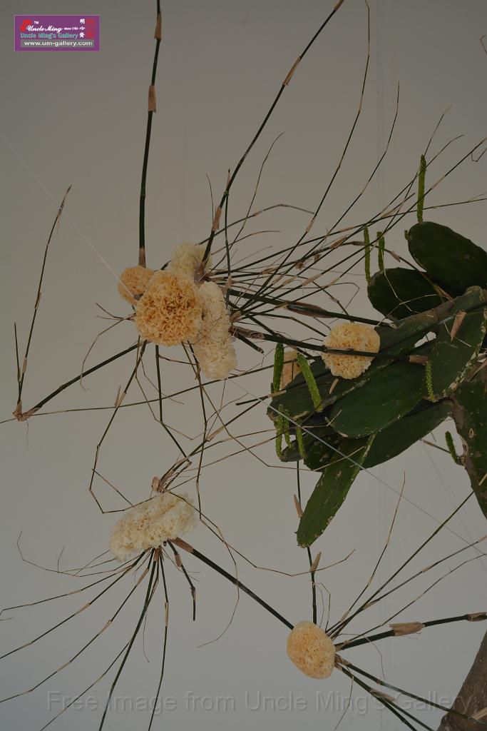20150328sm-floral-exhibition_DSC_1961.JPG