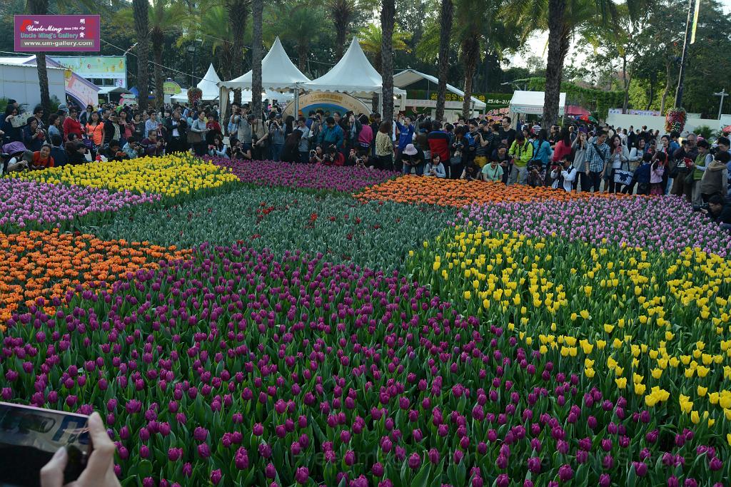 20150328sm-floral-exhibition_DSC_2025.JPG