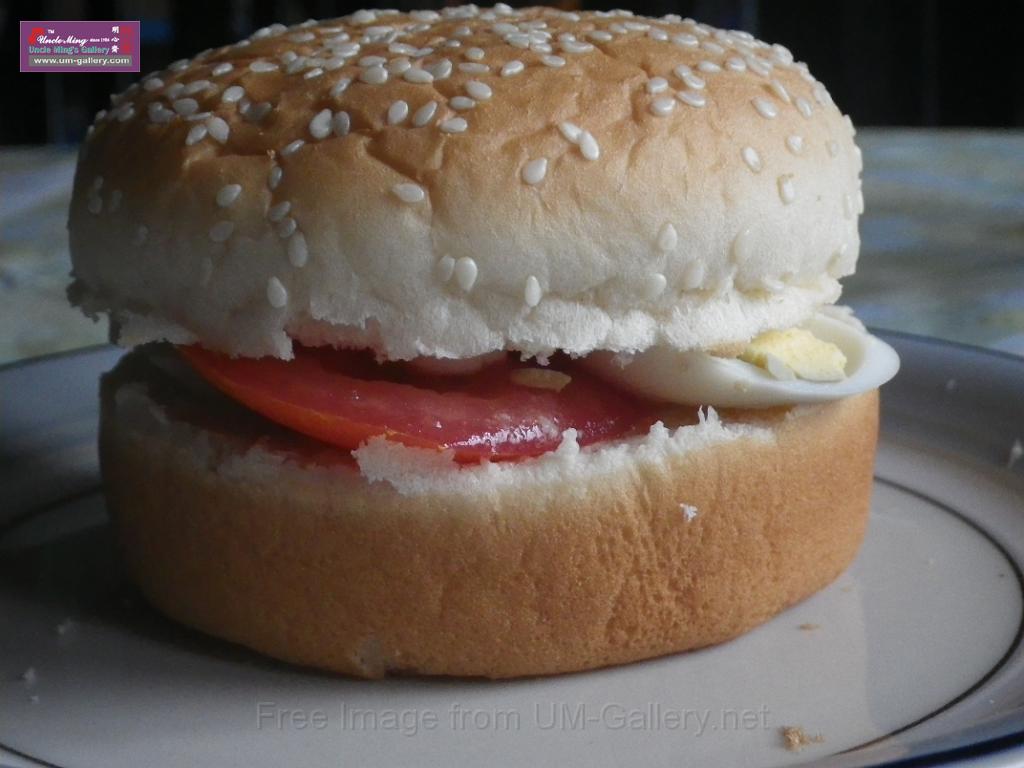 20140607sm-hamburger-IMGP0379.JPG