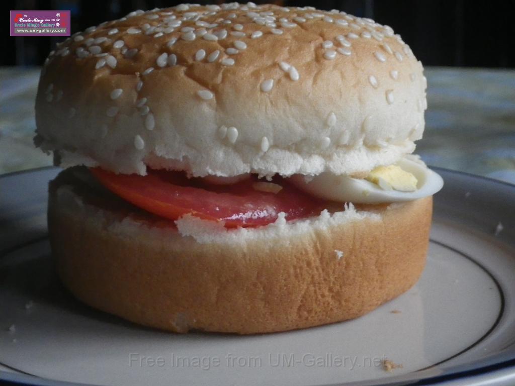 20140607sm-hamburger-IMGP0380.JPG
