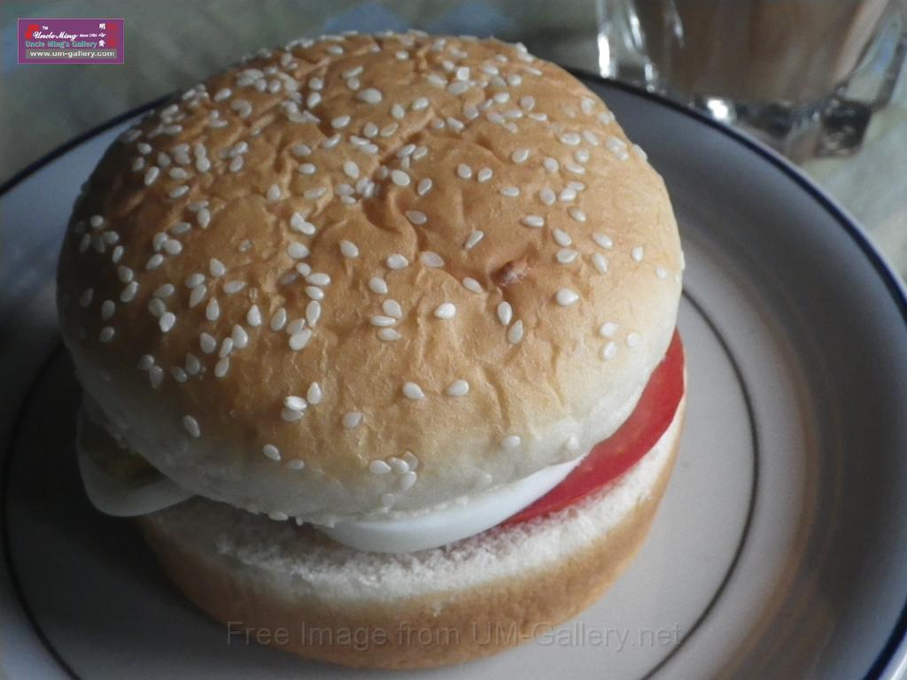 20140607sm-hamburger-IMGP0387.JPG