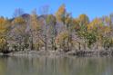 2012112sk_Daocheng_County_IMG_2036
