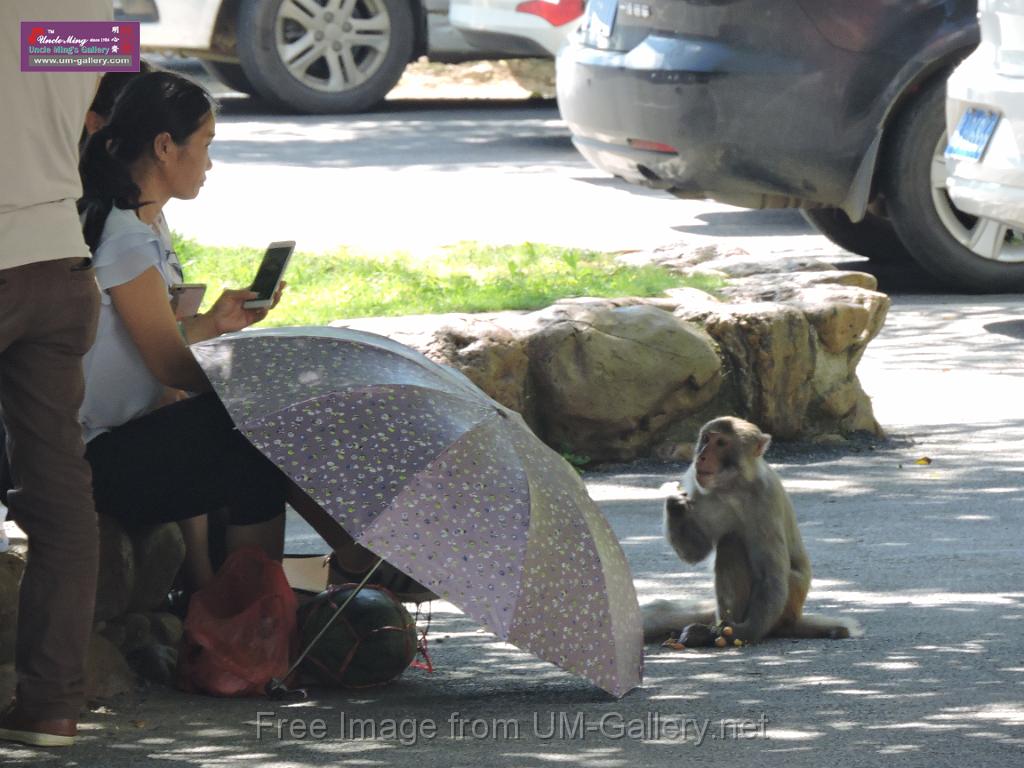 20170722sf-hezhou-DSCN5905.JPG