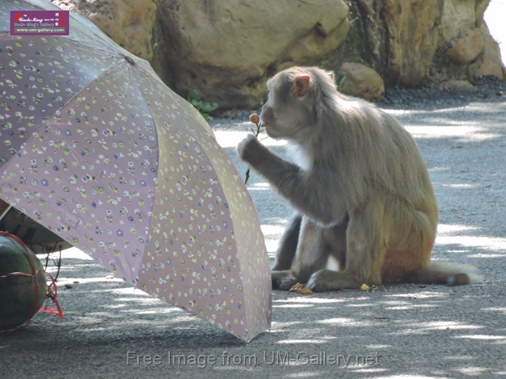 20170722sf-hezhou-DSCN5906.JPG