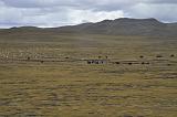 06092011Golmud-qinghai-tibet-railway-Lhasa_sf-DSC_0884