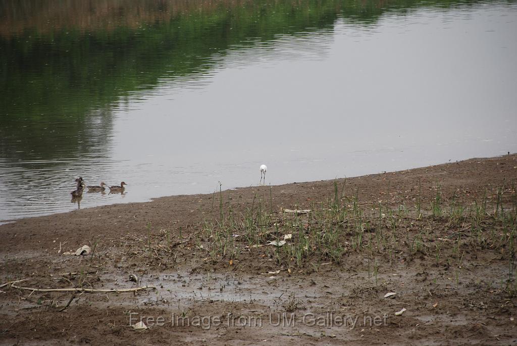 20111120jw-wetland-park-DSC_2042.JPG