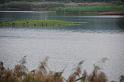 20111120jw-wetland-park-DSC_2502