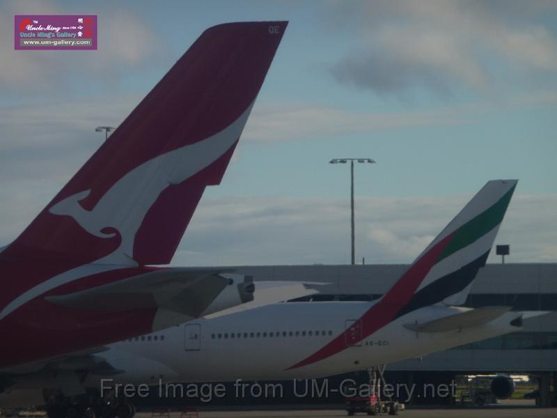 20140630jw-australia-P1170793.JPG