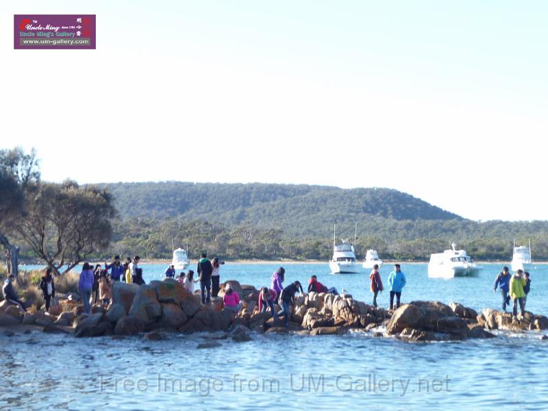 20140630jw-australia-P1180516.JPG