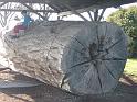 20140630jw-australia-P1180570