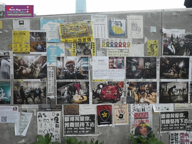 20141207sm-occupyadmiralty-IMGP0759.JPG