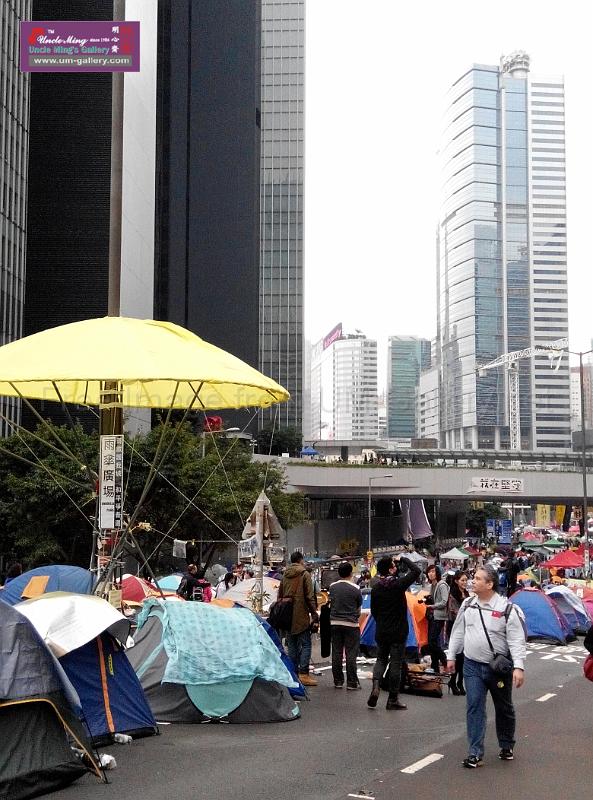 sm-occupyadmiralty-IMG_20141207_164600.jpg