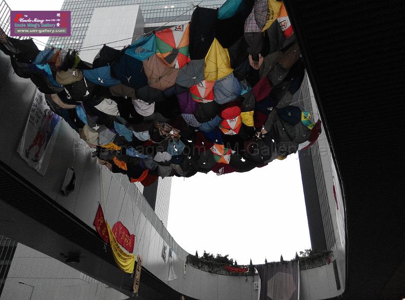 sm-occupyadmiralty-IMG_20141207_165229.jpg
