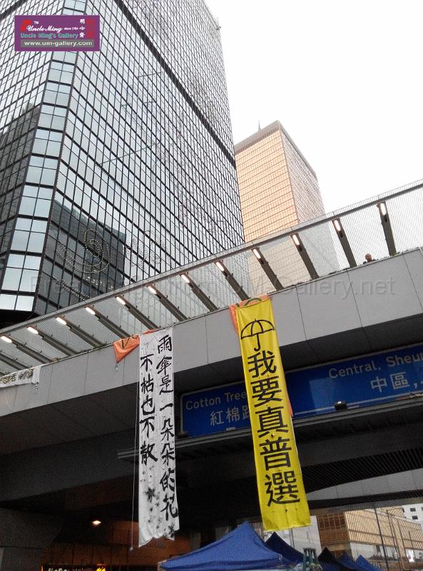 sm-occupyadmiralty-IMG_20141207_165343.jpg