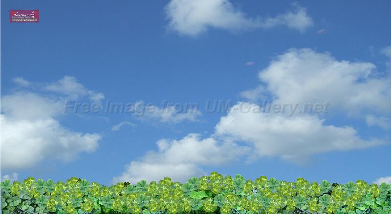 4leaf-clover-sky-115x210cm.jpg